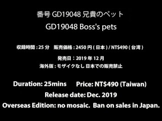 Number Gd19048 Gdude Boss's Pets Part-2